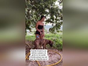 Bestiality with a teen and her dog