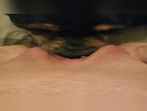 Exciting dog encounter: A woman and her dog in a zoophilia video