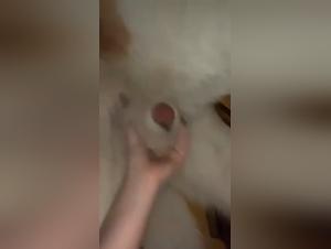 Forbidden Desires: Exploring the Realm of Dog Sex