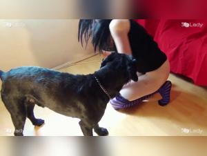 Electric Moments of Gay Bestiality