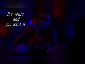 Understanding Bitch Breeding Stages