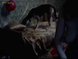 Bestialitat-Sexvideo: eine Frau und ihr Hund
