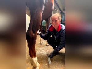 Videos of Bestiality with Horses - Explore the Limits of the Extreme