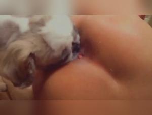 Dog Licking Woman's Pussy: A Zoophilia Video You Can't Miss