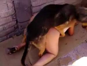 Bestial encounter in the alley: sex with dog