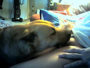 Bestial Experience: Sex with a Dog