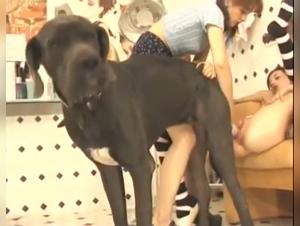 Bestiality Video: A Woman and Her Dog