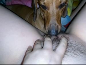 Unforgettable Intimacy: A Dog and Human Connection