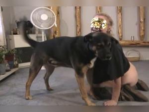 Bestiality Sex Video: Woman and Dog