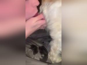 Bestiality video with a young woman and her dog