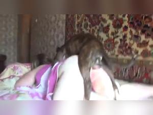 Unfaithful women: their bestial adventures