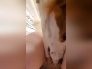 Blonde with wet pink pussy fucked by dog