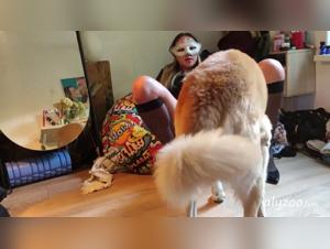 taboo animal practices