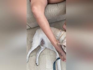 Erforschung der Leidenschaft: Tiersex und Hundesexuelle Aktivitaten