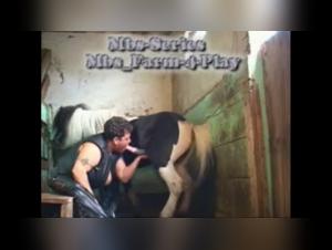 Sexo lesbian bestialidad hardcore video de sexo con perro y gato