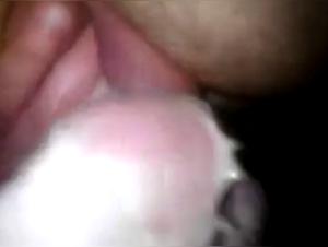 female dog licking man - Bestiality video