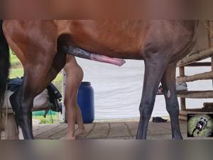 Forbidden Encounters: Bestiality Unveiled in Zoos