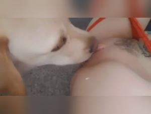 Dog sex video: she tries to lick