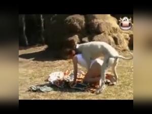 delving into zooskool's taboo territories