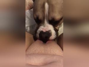 Forbidden Desires: Unveiling Animalistic Luxury