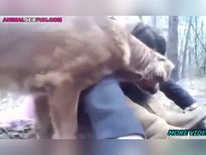 Rencontre bestiale dans la forêt : une femme et un chien