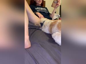 Zoophilia video: a woman and her dog