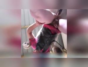 exploring the dark art of zoophilia