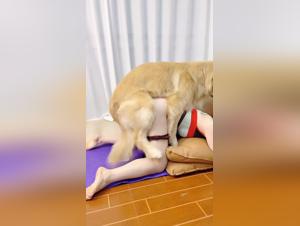 Exploring the Dark Side: Zoophilia