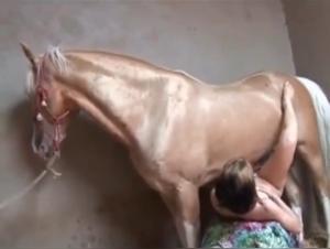 Virile horse in a tight vagina - Intense zoophilia video