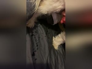 Submissive woman and her dog: an intense zoophilia video