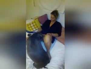 Freches Teenager-Madchen und ihr Hund - Bestialitat-Sexvideo