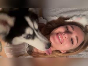 Animalistic Desires Uncovered