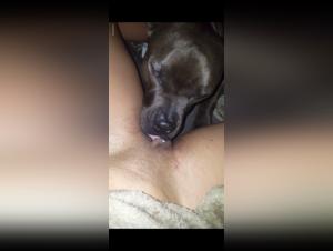 Bestiality sex video with dog