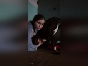 Ancient Sexualities: Discover Why Dog Sexuality is So Different