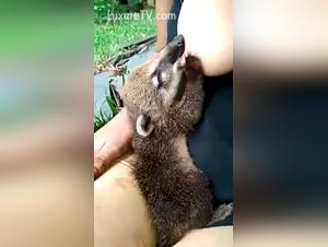 Breastfeeding a dog in heat: an extreme bestiality video