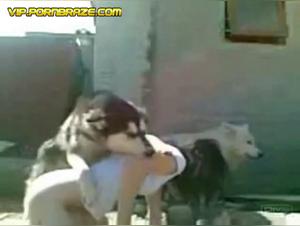 Bestial encounter in the open air: a unique experience