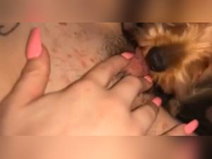 Exploring the Taboo: Dog Knot Scenes