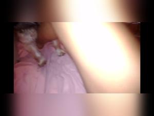 Wild Encounter: An Intense Bestiality Experience