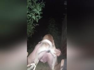 Animalistic Desires Unveiled