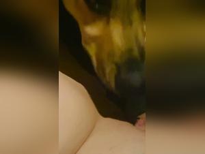 Into the Obscure Realm of Zoophilia