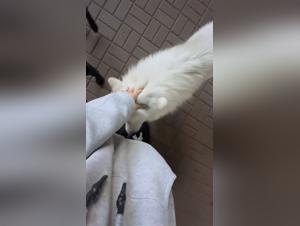 Forbidden Desires Unveiled