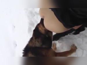 Warming your posterior in the snow: an extreme bestiality video