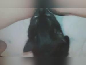 Forbidden Desires: Dog Sex and Girl