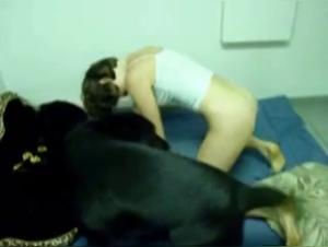 Woman and her canine lover: a video of bestial zoophilia