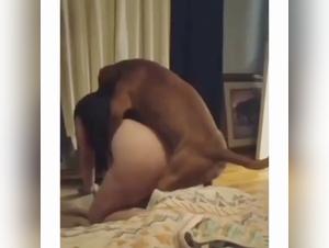 Unexpected Encounter: Woman and Dog