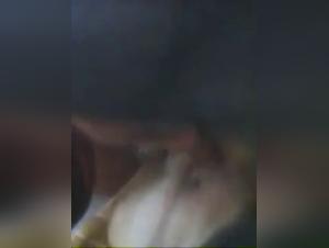 Amateur dog sex video