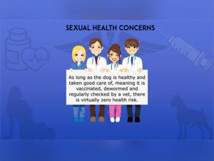 Guide for Women: Introduction to Canine Bestiality