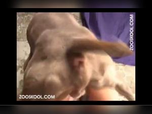 Zwischenblumen auf der heitigen Strandpromenade, lesbische Frau hat sexuelle Kontakte mit ihrem Hund