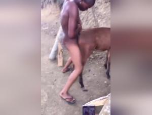 Unexpected meeting between a woman and a donkey