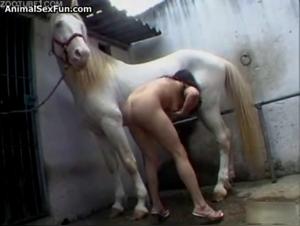 Adicta do Cavalo 4: A Forbidden Passion for the Horse